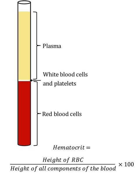 hematocrit centrifuge|hematocrit tube after centrifugation.